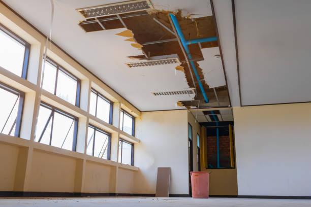 Best Flooded house restoration  in Dunlap, OH
