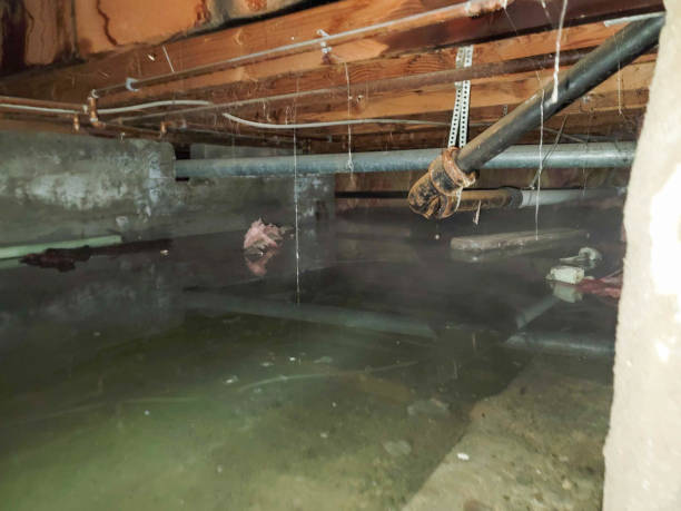  Dunlap, OH Water damage restoration Pros