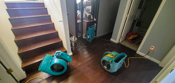Best Water damage restoration near me  in Dunlap, OH