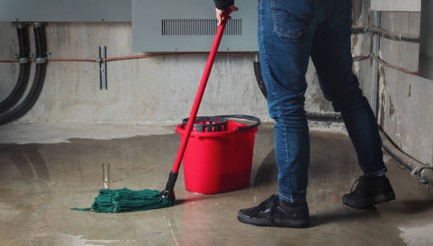 Best Commercial water damage restoration  in Dunlap, OH