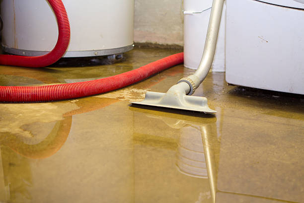 Best Basement water damage restoration  in Dunlap, OH